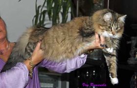 IMG_2551.jpg