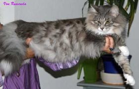 IMG_2562.jpg