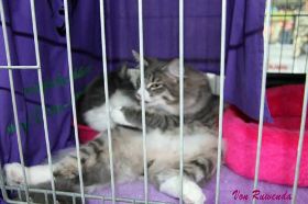 IMG_2010_10_23_0165.jpg