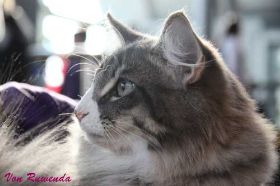 IMG_2010_10_23_0204.jpg