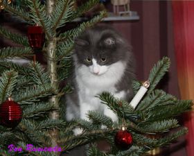 IMG_5528.jpg