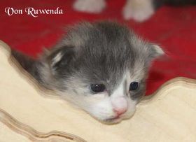 IMG_6175.jpg