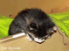 IMG_6753.jpg