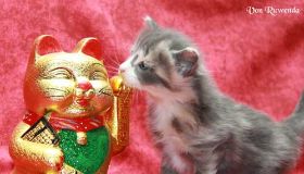 IMG_6842.jpg