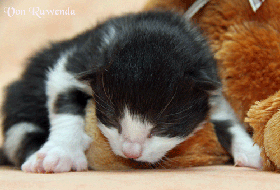 IMG_6032.gif