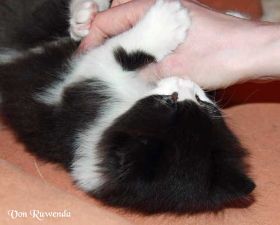 IMG_7314.jpg