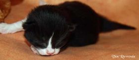 IMG_8232.jpg