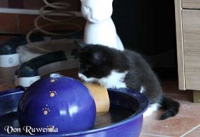 IMG_0100.jpg