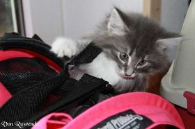 IMG_0713.jpg