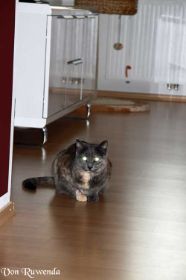 IMG_1095.jpg