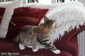 IMG_1276.jpg