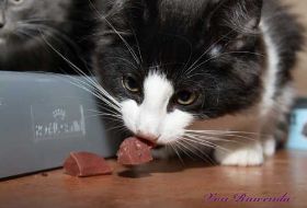 IMG_4333.jpg