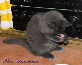 IMG_4346.jpg