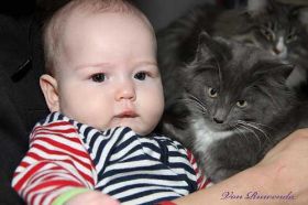IMG_4376.jpg