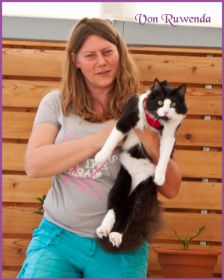 Artus von den Norwegischen Waldkatzen von Ruwenda mit Frauchen