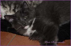 IMG_4635.jpg