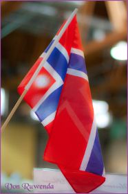 Flagge Norwegische Waldkatzen von Ruwenda in St. Gallen