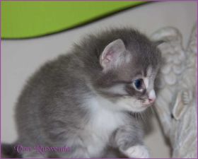 IMG_2840.jpg