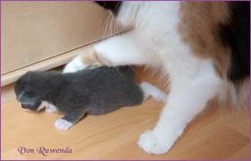 IMG_2164.jpg