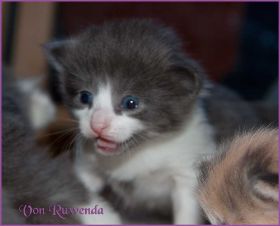 IMG_2554.jpg