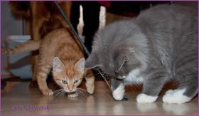 IMG_6932.jpg