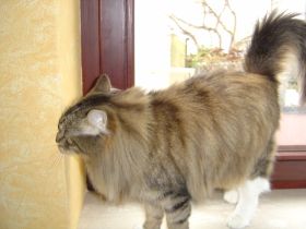 Beauty in ihrem neuen Zuhause