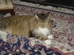 Beauty in ihrem neuen Zuhause