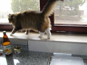 Beauty in ihrem neuen Zuhause