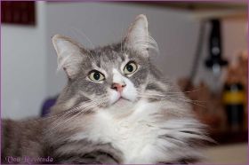 IMG_4472.jpg