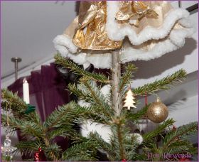 Weihnachten 2013 mit den Norwegischen Waldkatzen von Ruwenda