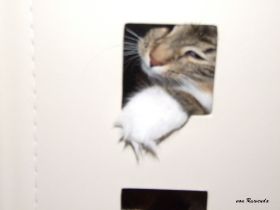 2008_0624Sicherung0029.JPG