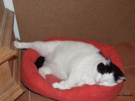 2008_0815Sicherung0029.JPG