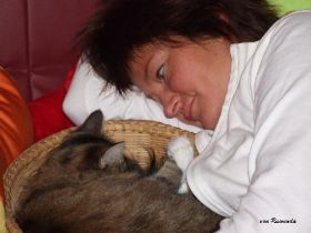 2008_1102Bilder2207080030.JPG