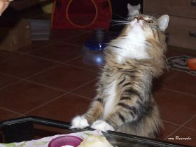 DSCF2012.JPG