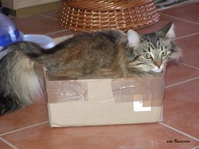 2009_0111Sicherung0008.JPG