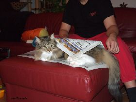 2009_0203Sicherung0004.JPG