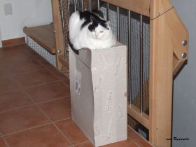 2009_0315Sicherung0032.JPG