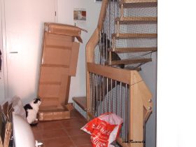 2009_0315Sicherung0009.JPG