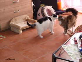 DSCF2547.JPG
