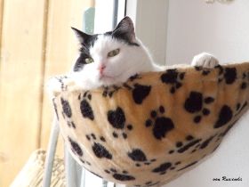 DSCF2550.JPG