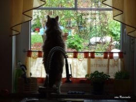 Beauty_Fenster.jpg