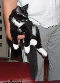 2009_0926Sicherung0011.jpg