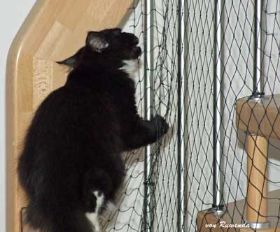 2009_0926Sicherung0023.jpg