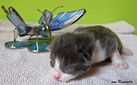 2009_1005Sicherung0048.jpg