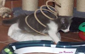 2009_1115Sicherung0027.jpg