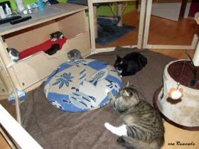 2009_1026Sicherung0057.jpg