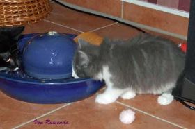 2009_1130Sicherung0044.jpg