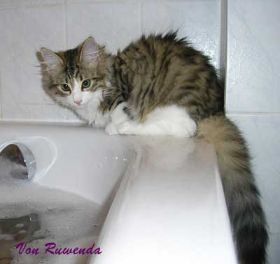 Haramis-Badewanne.jpg