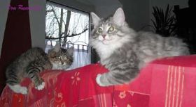 Antar-und-Anigel-auf-sofa.jpg