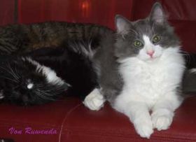 Opal-und-Kadiya-auf-Sofa.jpg